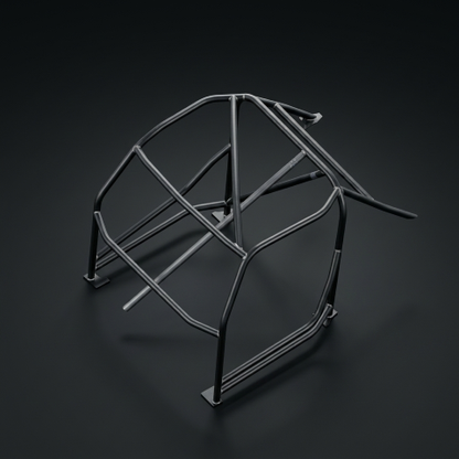 Shelby Cobra (1963-1970) - FIA / KNAF Certified Historic Roll Cage